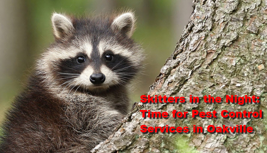 Pest Control Services in Oakville