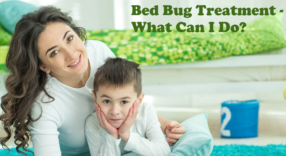 Bed Bug Treatment