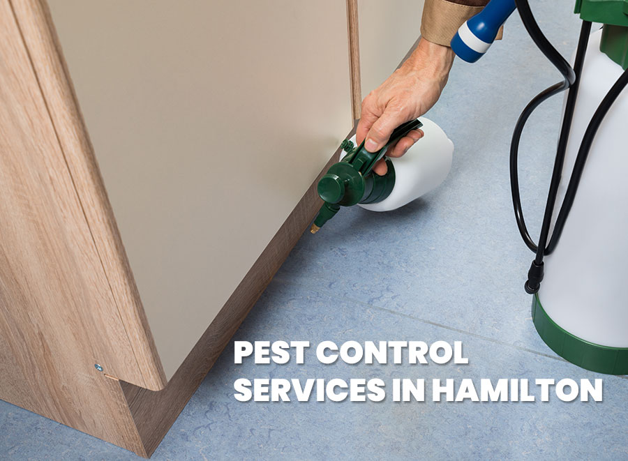 Pest Control Services Hamilton