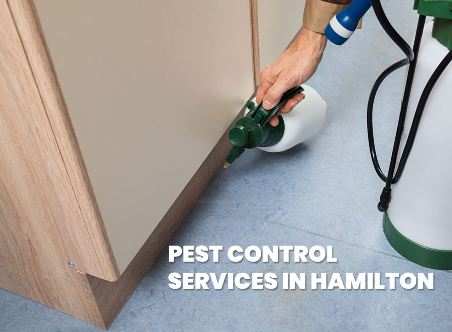 Pest Control Services