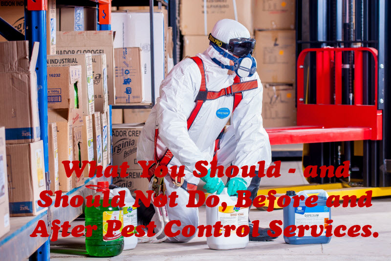 Pest Control Services