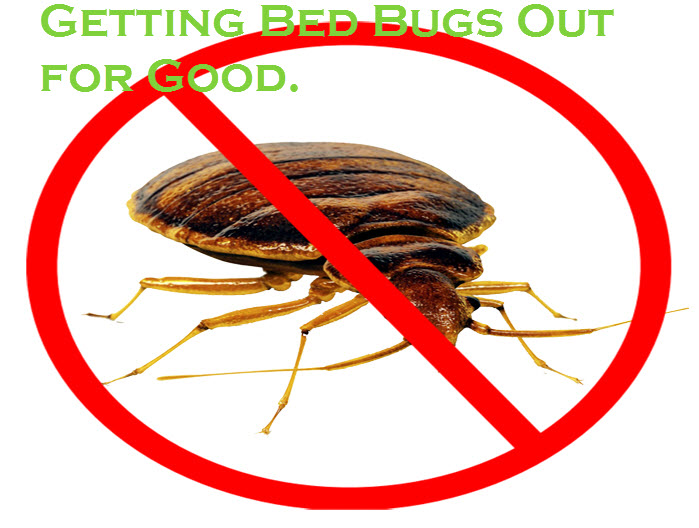 Getting Bed Bugs Out for Good.