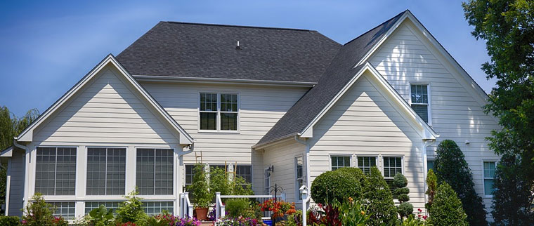 High-Quality Pest Control Services in Oakville