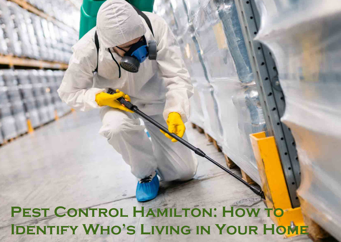 pest control hamilton