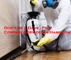 Pest Control Services In Hamilton