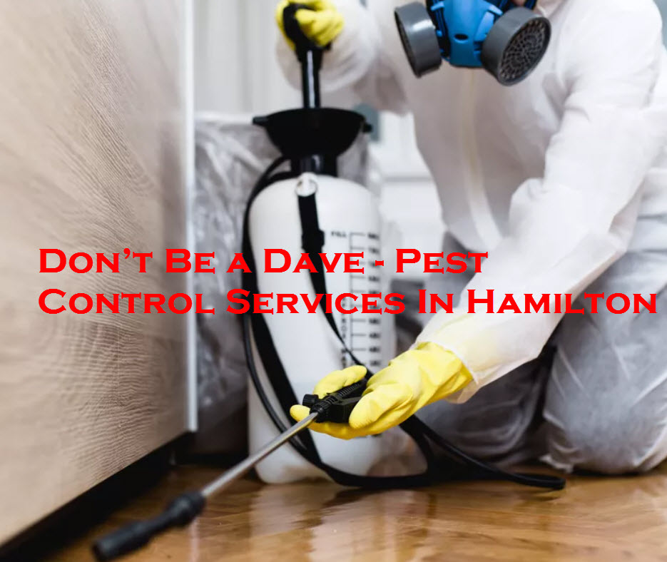 Pest Control Services In Hamilton