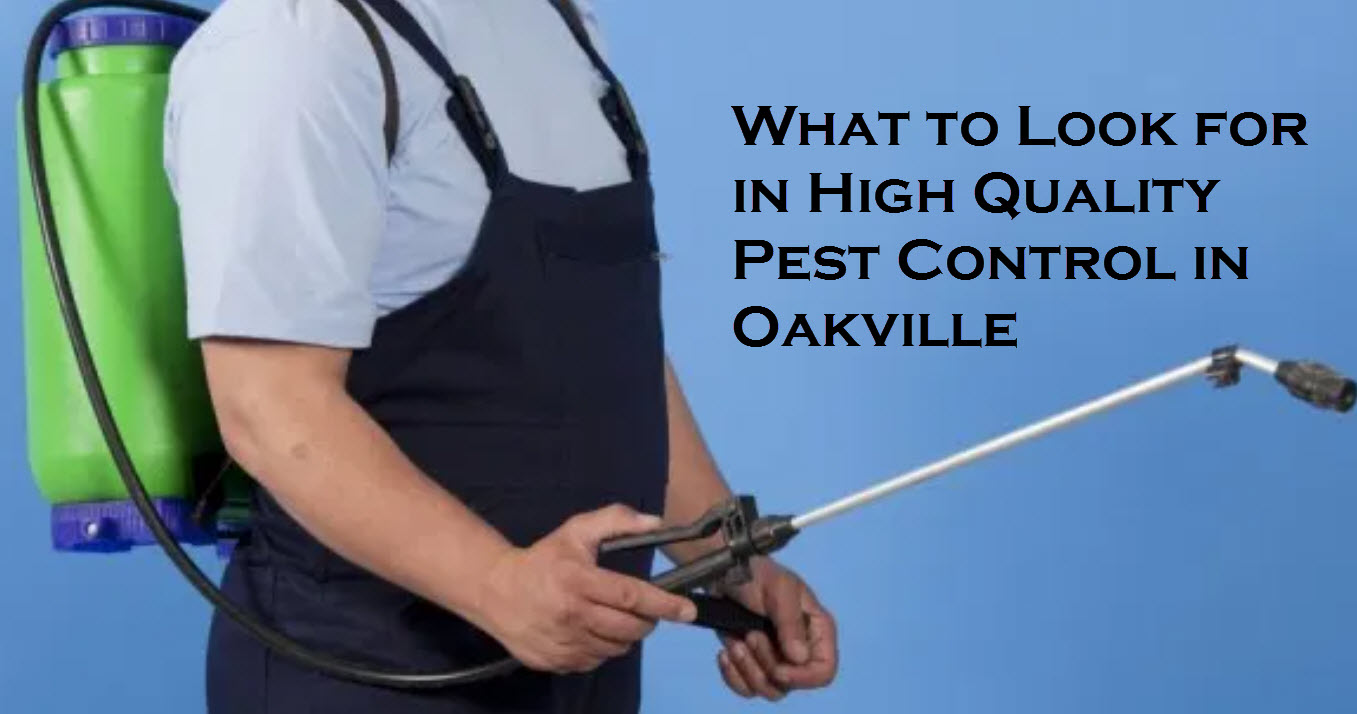 What to Look for in High Quality Pest Control in Oakville