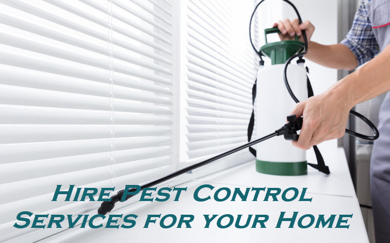 Pest Control Service