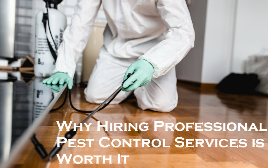 pest control services