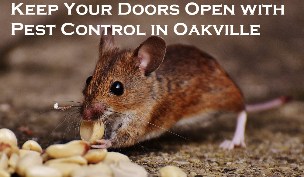 Pest Control