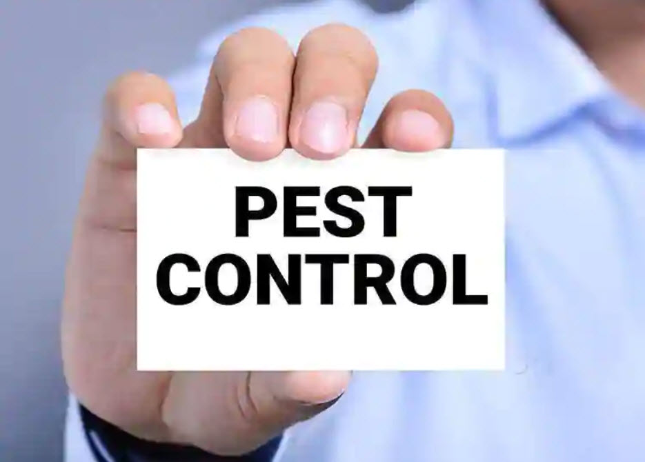 pest control services