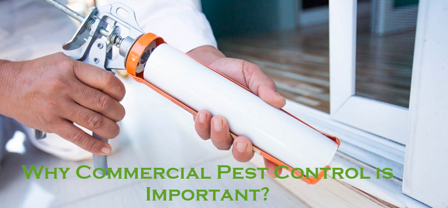 Commercial Pest Control