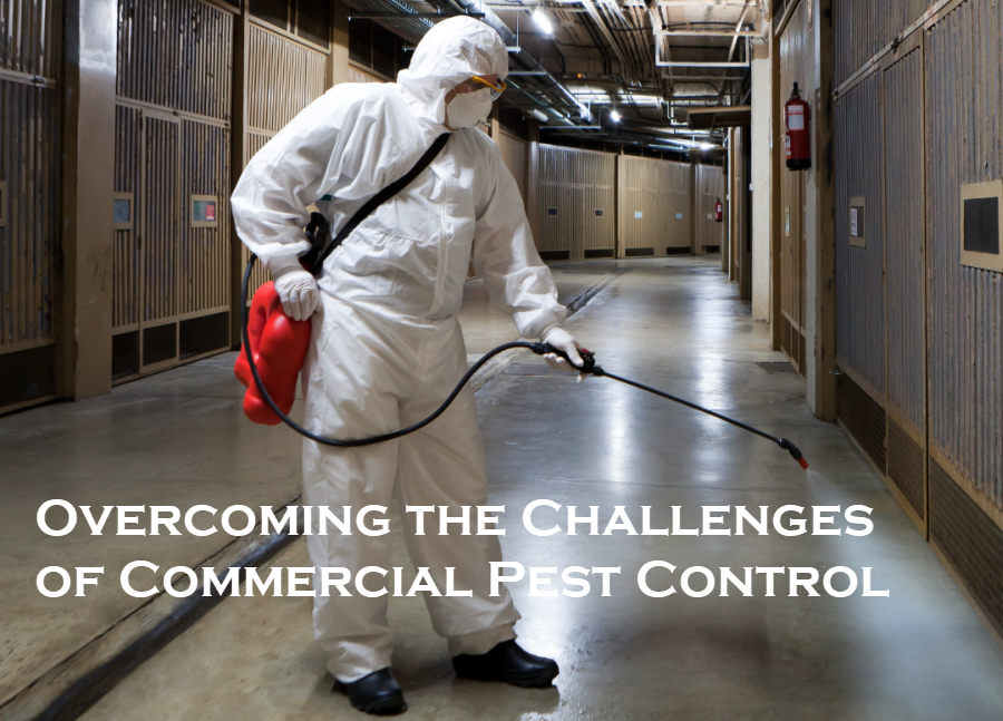 Commercial Pest Control