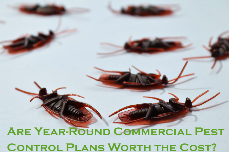 Commercial Pest Control