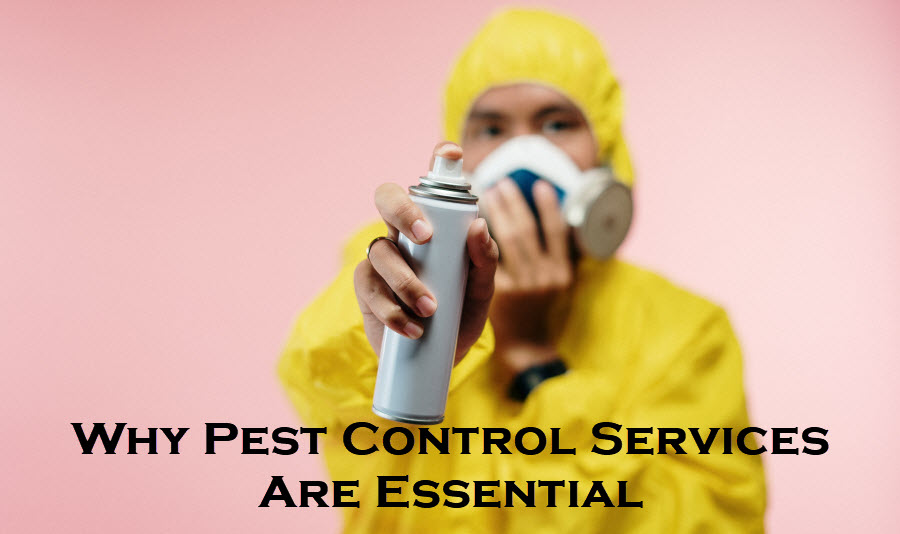 Pest control Services