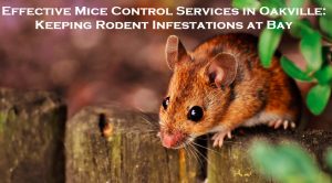 mice control